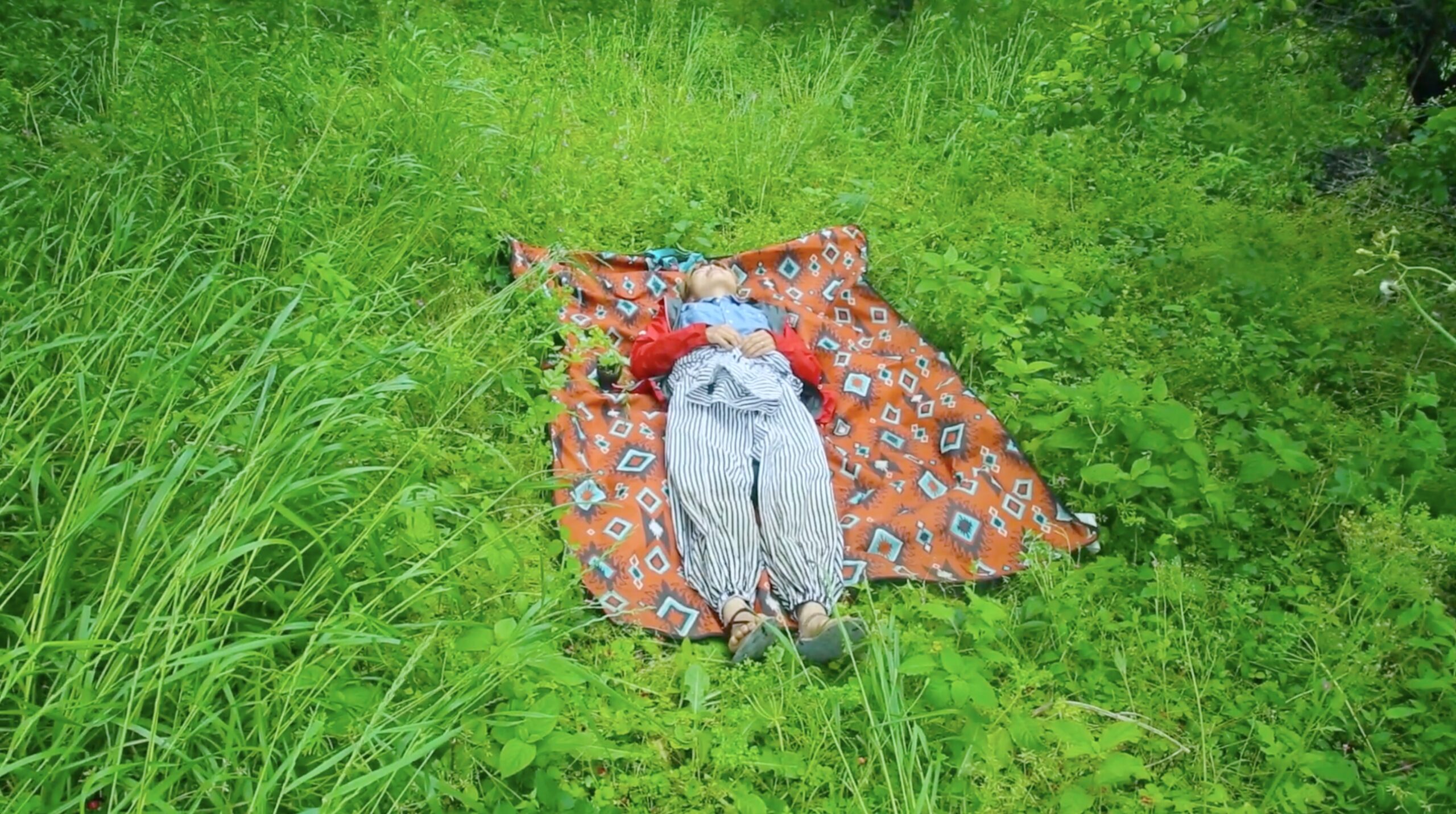 UMAMI – The poetry of plants